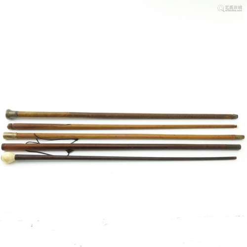 A Collection of Five Walking Sticks