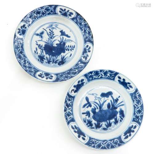 Two Blue and White Plates