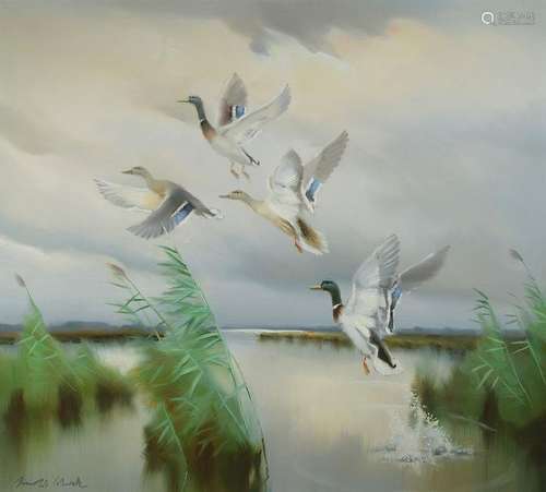 Arnold Schatz, 1929-1999, Flying Ducks, Oil / canvas