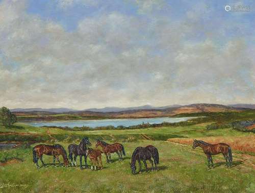 Adolf Lohmann, b. 1928, horses in the meadow, in the