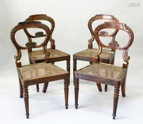 A SET OF FOUR REGENCY ROSEWOOD DINING CHAIRS, with