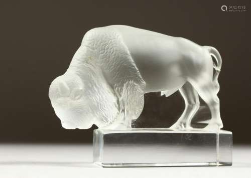 A LALIQUE FROSTED GLASS MODEL OF A BISON.  Etched