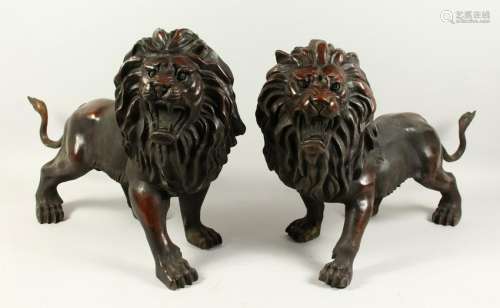 A GOOD LARGE PAIR OF LIONS, standing with snarling