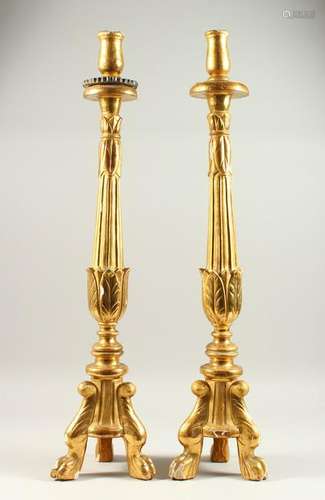 A PAIR OF CARVED AND GILDED ECCLESIASTICAL STYLE ALTAR