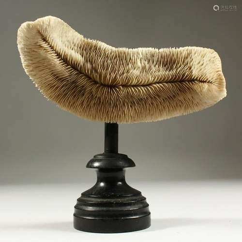 A CORAL SPECIMEN, on turned wood stand.  19cms wide.