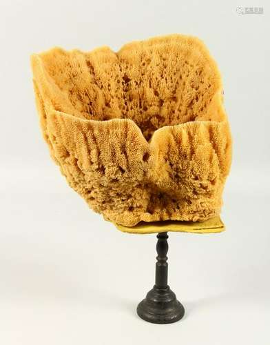 A LARGE SPONGE SPECIMEN, on a turned wood stand.  42cms