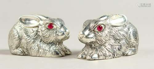 A PAIR OF .800 SILVER RABBIT SALT AND PEPPERS.