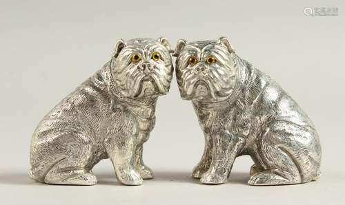 A PAIR OF .800 SILVER BULLDOG SALT AND PEPPERS.