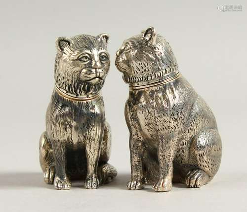 A PAIR OF SOLID SILVER SEATED CAT SALT AND PEPPERS.