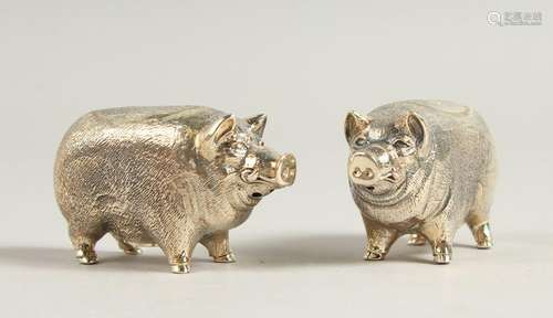 A PAIR OF SOLID SILVER PIG SALT AND PEPPERS.