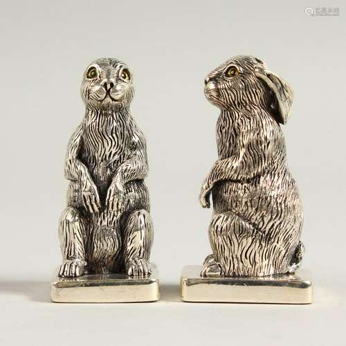 A PAIR OF SOLID SILVER RABBIT SALT AND PEPPERS.