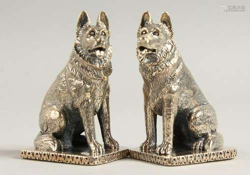 A PAIR OF SOLID SILVER ALSATIAN DOGS SALT AND PEPPERS.