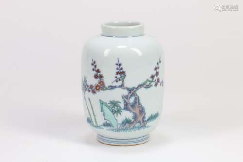 A Chinese Dou-Cai Porcelain Vase