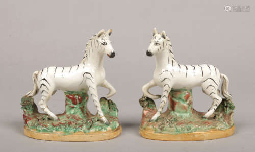 A pair of 19th century Staffordshire models of zebra. Each raised on a naturalistic base