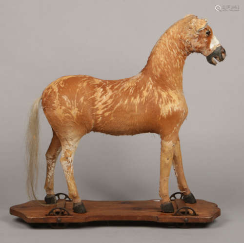 A 19th century pony hide mounted hobby horse on four wheeled pine plinth, 74cm high.