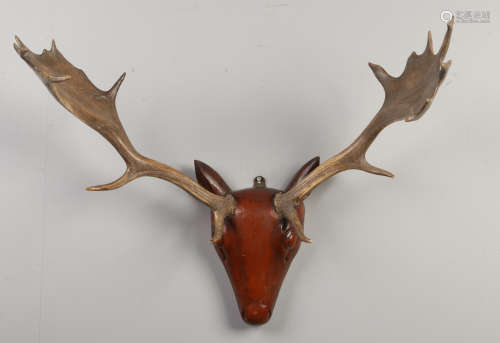A good pair of fallow deer antlers mounted on a carved wood mask, 72cm wide. Condition report