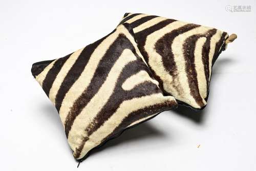Zebra Hide Decorative Throw Pillows
