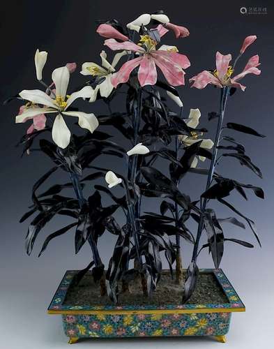 Chinese Hardstone Jade Tree in Cloisonne Planter