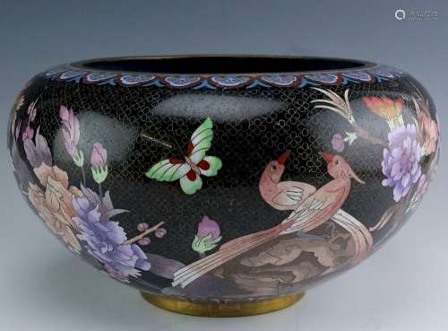 Large Chinese Cloisonne Bronze Floral Bird Bowl