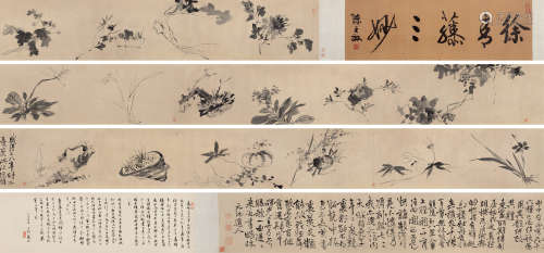 徐渭（1521～1593） 花卉十六种三绝卷 手卷 水墨纸本