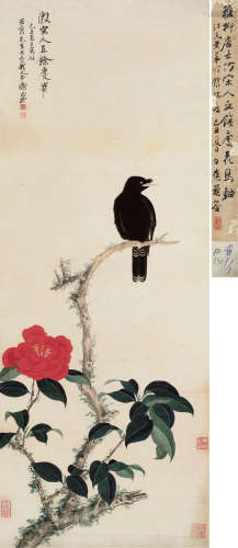 谢稚柳（1910～1997） 己丑（1949）年作 山茶八哥 立轴 设色纸本