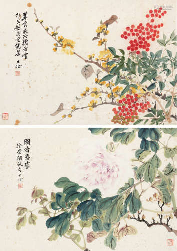 张大壮（1903～1980） 花卉 （两帧） 镜片 设色纸本