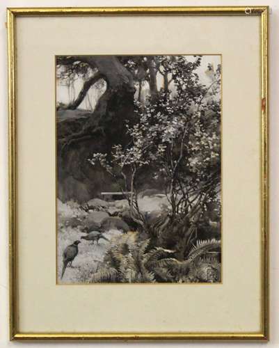 Alfred William Parsons, monogrammed monotone watercolour, Pheasant in landscape, 27 x 19cm