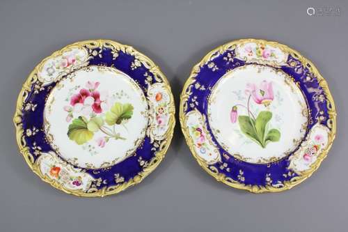 English Porcelain Cabinet Plates hand painted by Steven Lawrence, floral design with cobalt blue surround, approx 24 cms