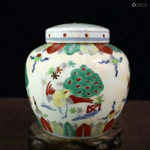 CHINESE DOUCAI PEAFOWLS PATTERN JAR