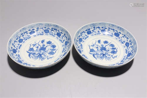 PAIR OF CHINESE PORCELAIN BLUE AND WHITE FLOWER PLATES