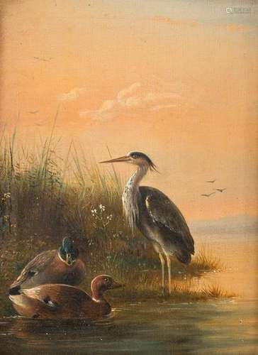 GERMAN ANIMAL PAINTER Active mid 19th C. Ducks and