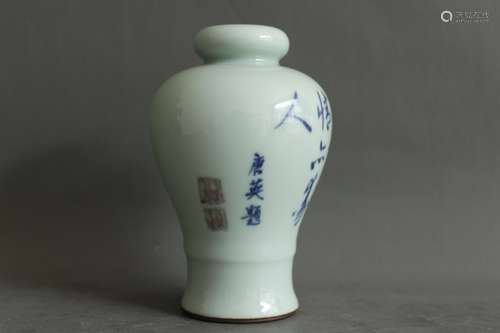 A Chinese Blue and White Porcelain Vase