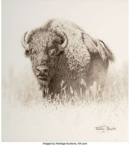 68001: Tucker Smith (American, b. 1940) Bison, 1976 Pen