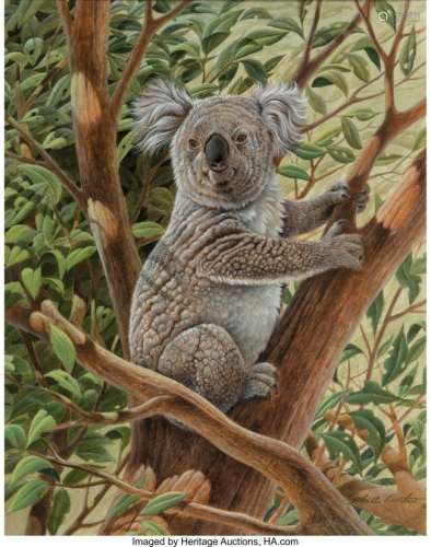 68097: John A. Ruthven (American, b. 1924) Koala Waterc
