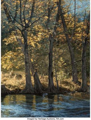 68145: Mark Weber (American, b. 1949) Guadalupe River,