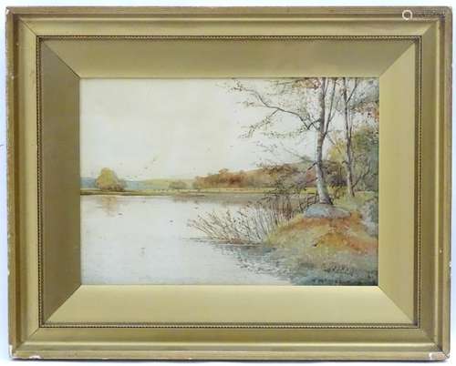 W. McMahon (18) 93, Watercolour, Lake's edge, Signed