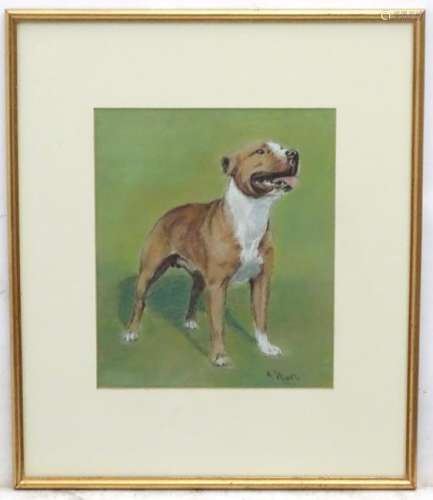 A Wardle XX, Canine School, Pastels, A brindle