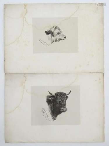 R. B. Bongue, 1899, French engraving x2, Heads of