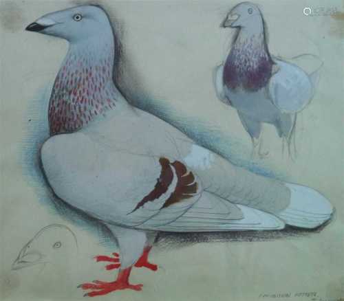 Charles Frederick Tunnicliffe (1901 - 1979), Exhibition Homer