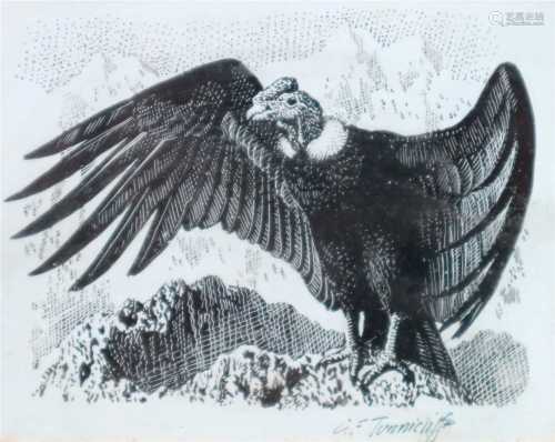 Charles Frederick Tunnicliffe (1901 - 1979), Condor