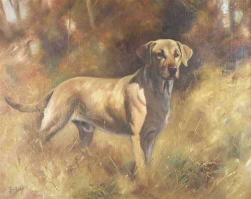 § John Trickett, Working Labrador