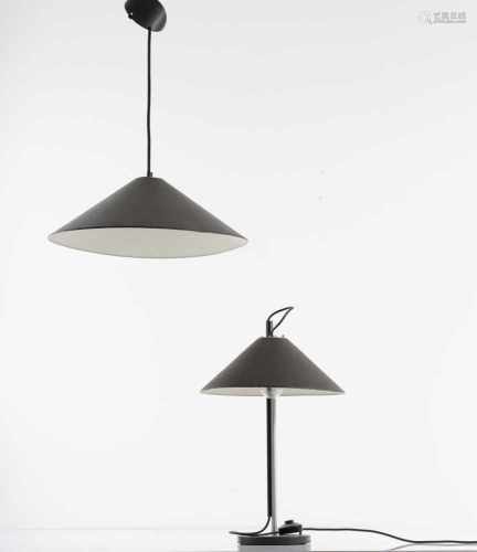 E. Mari; G. Fassina, Table and ceiling light, 1976Table and ceiling light, 1976'Aggregato stelo