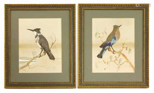 A pair of feathered bird pictures,