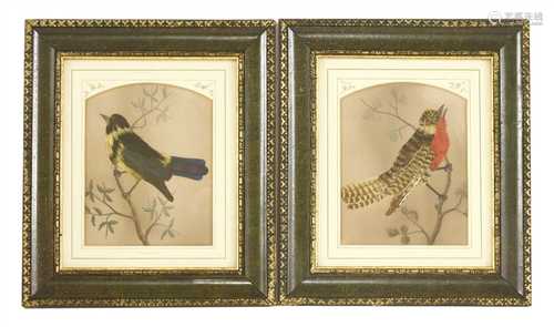 Two pairs of feather bird pictures and five further,