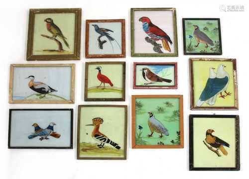 Twelve Indian reverse glass paintings of birds