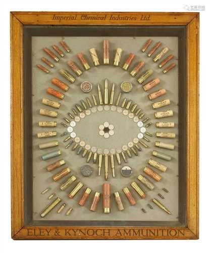 An Eley & Kynoch ammunition cartridge display board,