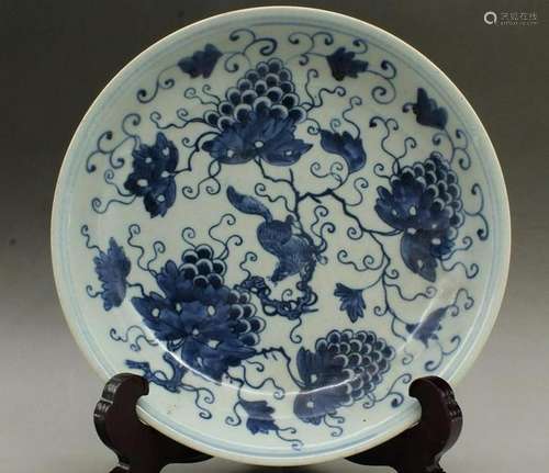 A BLUE & WHITE SQUIRREL PLATE KANGXI 17TH/C.