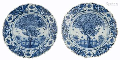 Two fine Delftware plates with a tea tree decoration