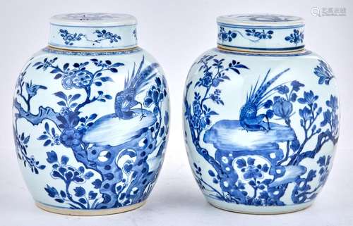 Pair of Chinese Blue and White Glazed Porcelain Covered Jars