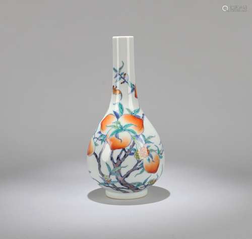 A Chinese Dou-Cai Glazed Porcelain Vase